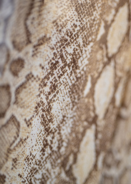 up close image of a snakeskin pattern with brown and beige colors